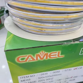 led lenteler camel