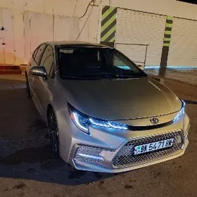 Toyota Corolla 2022