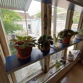 План дом, plan jaý