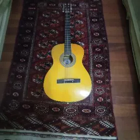 gitara