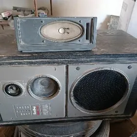 Колонка музикалны