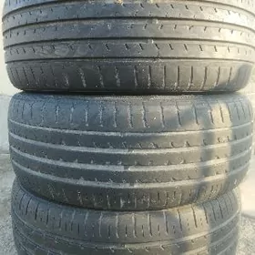225 55 17 pakryska