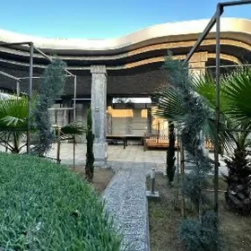 BAGYR MIREWE 8sotyk 4kom