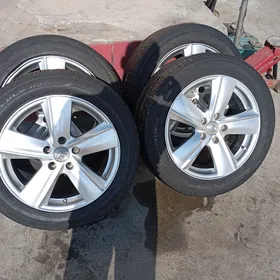 17 lyk dıska bolan kopılek.