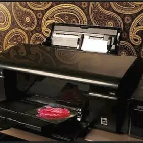 Epson printer L805 gyssagly