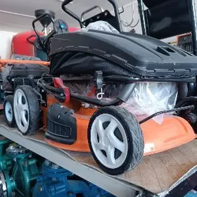 Gazonakasilka ot kesyan