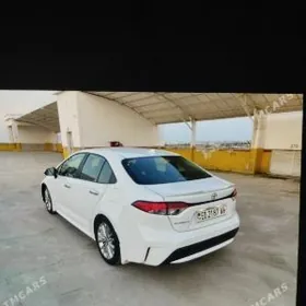 Toyota Corolla 2021