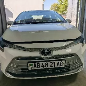 Toyota Corolla 2024