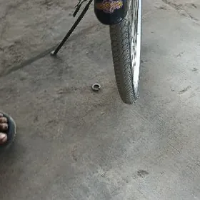 velik variance