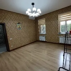 Центр, хозяин
