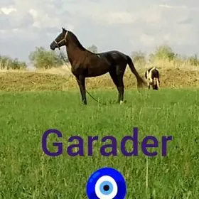 Garader