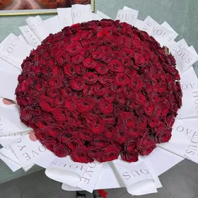 Gul magazyna gulci gerek