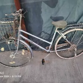 tigir 27 lik 3 skorsly