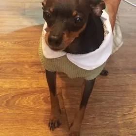 ищем жениха