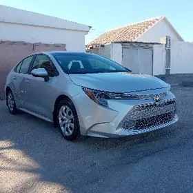Toyota Corolla 2022