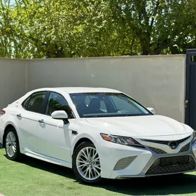 Toyota Camry 2020