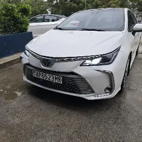 Toyota Corolla 2020
