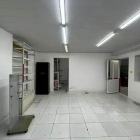 Satlyk podwal elitka asagy