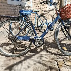 27 lik tigir welik welesopet