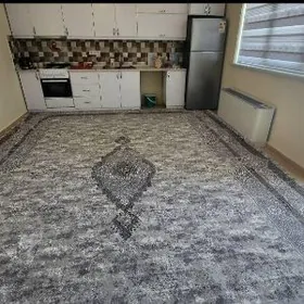 HALY PALAS HALY ALÝAS