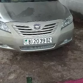 fara öküz kelle 2008