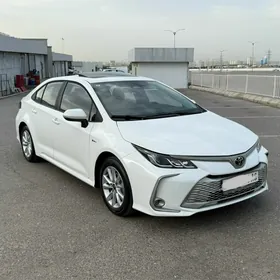 Toyota Corolla 2025