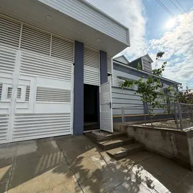 Anew Magtymguly 12sotok