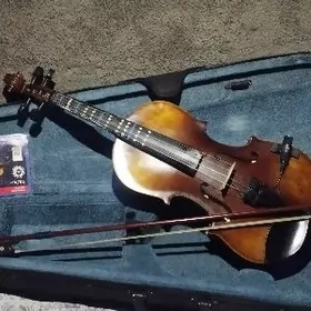 skripka скрипка