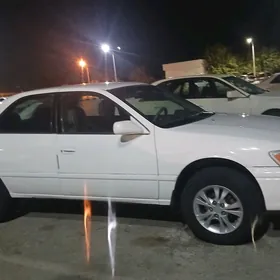 15 lik babochka duty diska