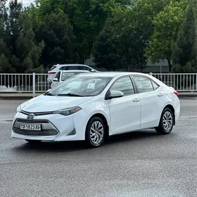 Toyota Corolla 2019