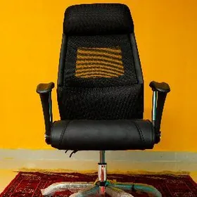 Koźa setka kreslo.Кожа кресло