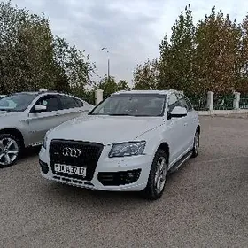 Audi Q5 2009