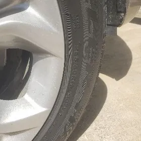 19 лык разное широкий