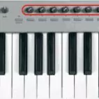 STUDIŸA SAZ ŸAZŸAN