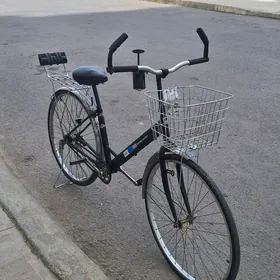 welisoped tigir yaponskiy