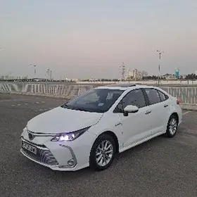 Toyota Corolla 2021