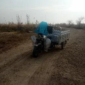 Fekon FK200-14G 2024