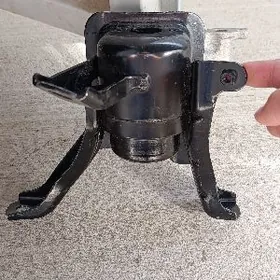 corolla 2019 padushka