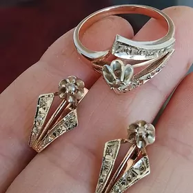 Gyzyl birilyant kamplekit