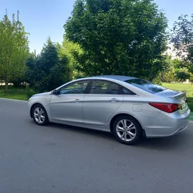 Hyundai Sonata 2010
