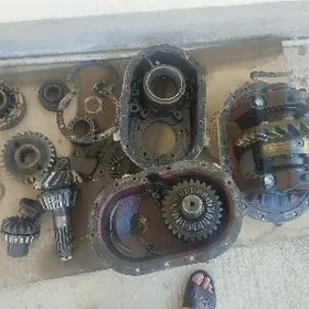 Maz mos ortaky 13 diş