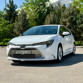 Toyota Corolla 2020