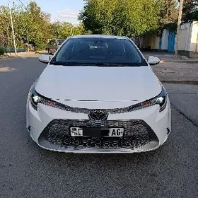 Toyota Corolla 2021