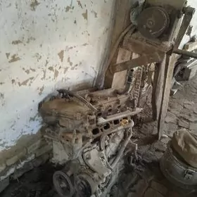 carolla 2009 matory zapcas