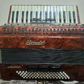 Akkordeon
