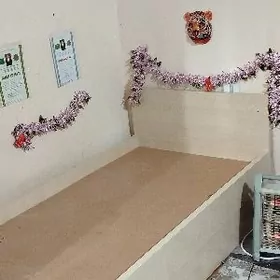 dediski krawat 2 sany