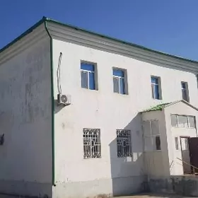 Arenda Taze zaman katez