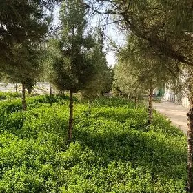 Гуртлы аренда подвал