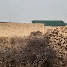 Satlyk Jay sayat kominist