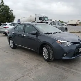 Toyota Corolla 2013